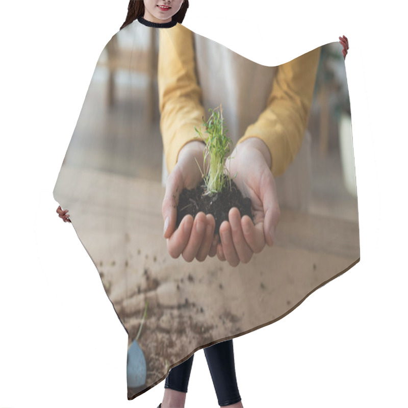 Personality  Cropped View Of Boy Holding Microgreen In Soil Near Table At Home  Hair Cutting Cape