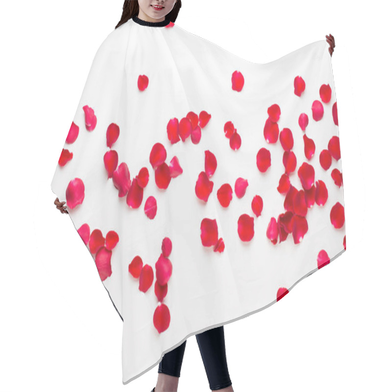 Personality  Valentine's Day. Rose Flowers Petals On White Background. Valent Hair Cutting Cape