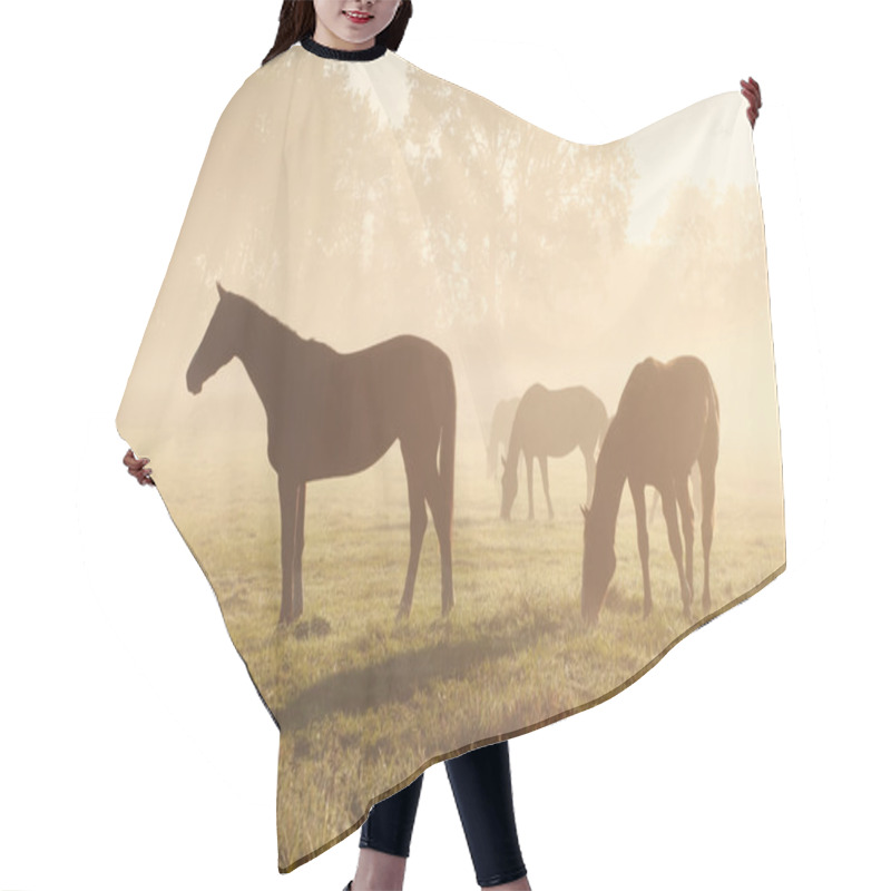 Personality  Few Horses Grazing Om Pasture During Foggy Sunrise Hair Cutting Cape