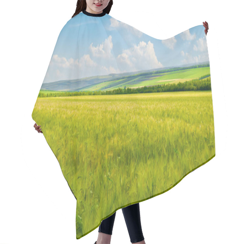 Personality  Green Wheat Field And Blue Sky. Beautiful Spring Agro Landscape. Wide Photo. Hair Cutting Cape