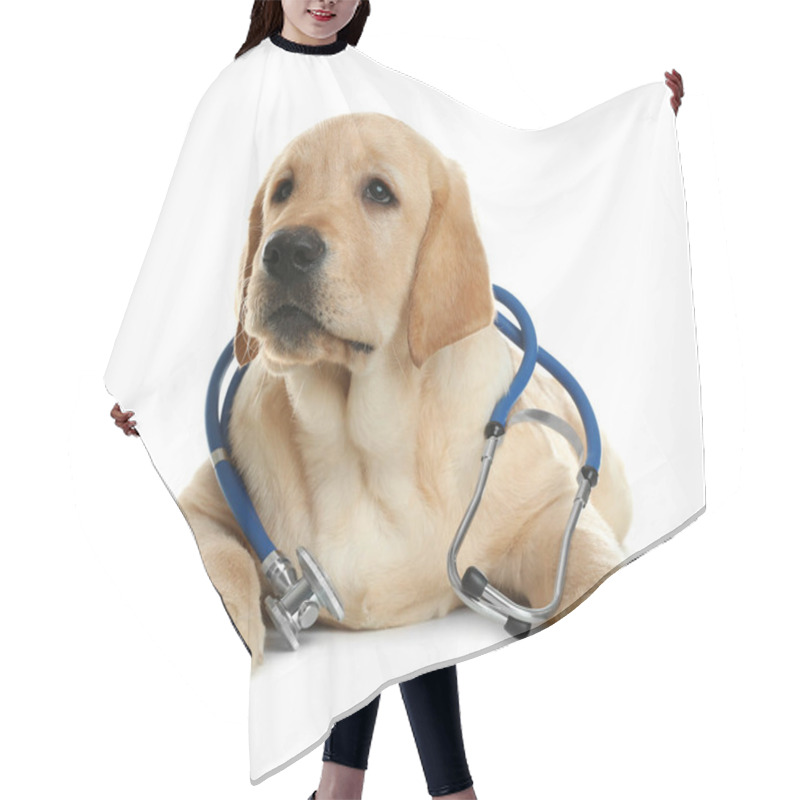 Personality  Cute Little Dog With Stethoscope As Veterinarian On White Background Hair Cutting Cape