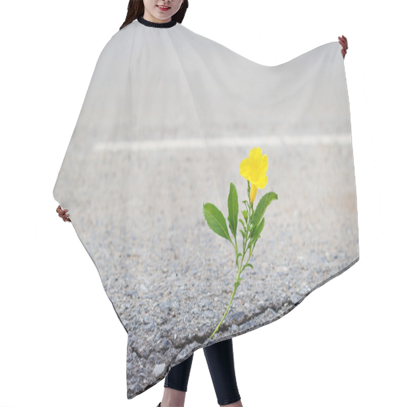 Personality  Yellow Flower On Crack Street, Soft Focus Hair Cutting Cape