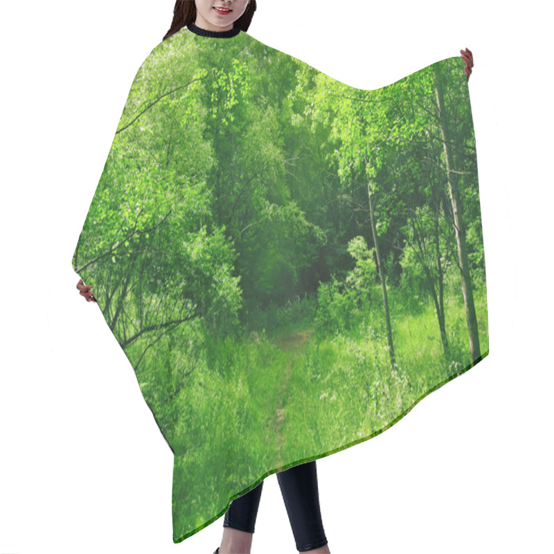 Personality  Spring Forest In The Sunny Afternoon Hair Cutting Cape