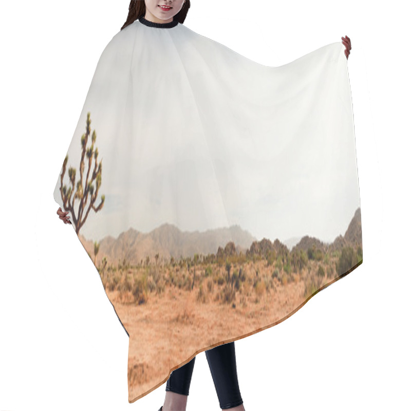 Personality  Panorama Landscape Of Joshua Tree National Park, USA. Hair Cutting Cape