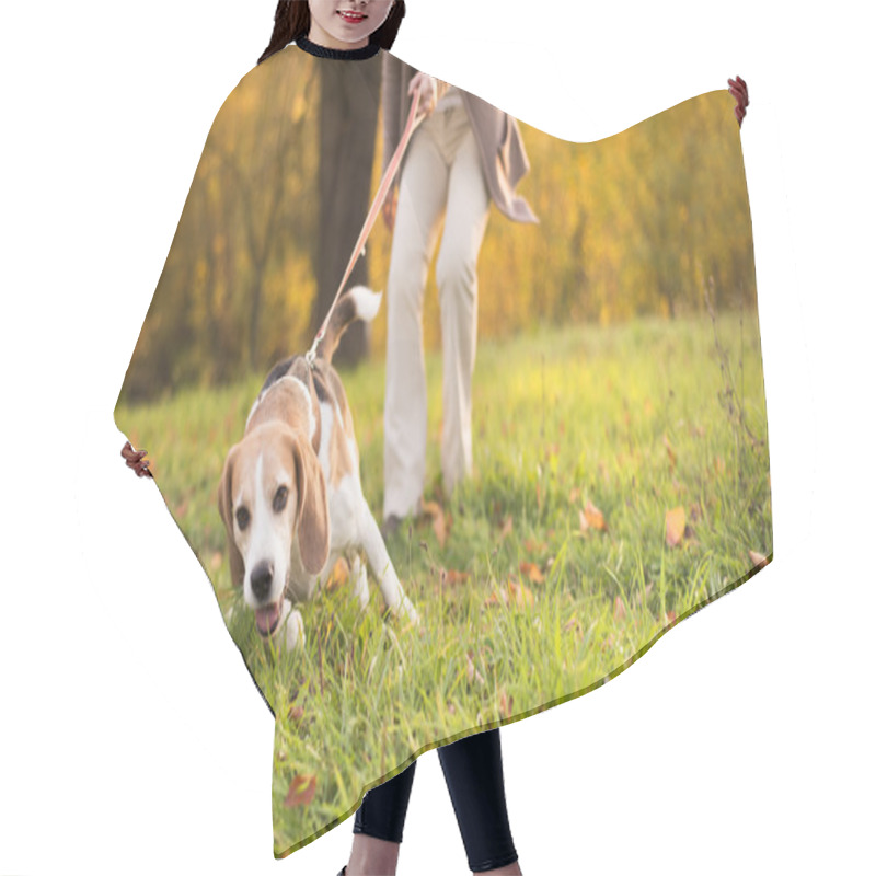 Personality  Dog Walk Hair Cutting Cape