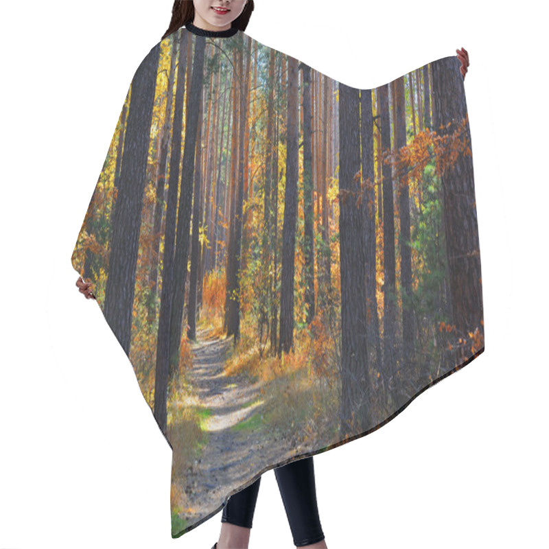 Personality  Walk In The Autumn Forest On A Footpath Among The Pine Trees Enjoying The Bright Colors Of Yellow And Red Leaves. Hair Cutting Cape