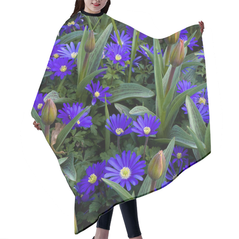 Personality  Anemone Blanda Gemengd Flowers Hair Cutting Cape