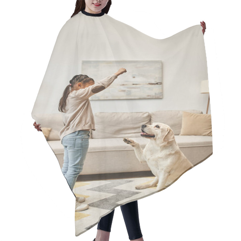 Personality  Girl In Casual Wear Training Labrador In Modern Living Room, Kid Giving Treat While Teaching Dog Hair Cutting Cape