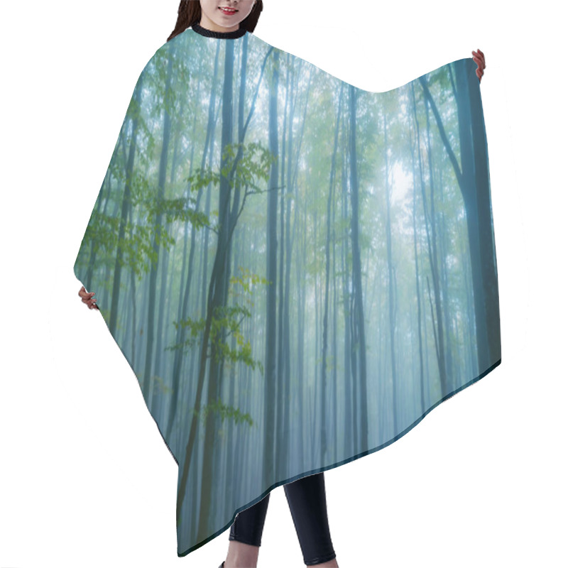 Personality  Magical Misty Autumn Forest. Beatiful Landscape Hair Cutting Cape