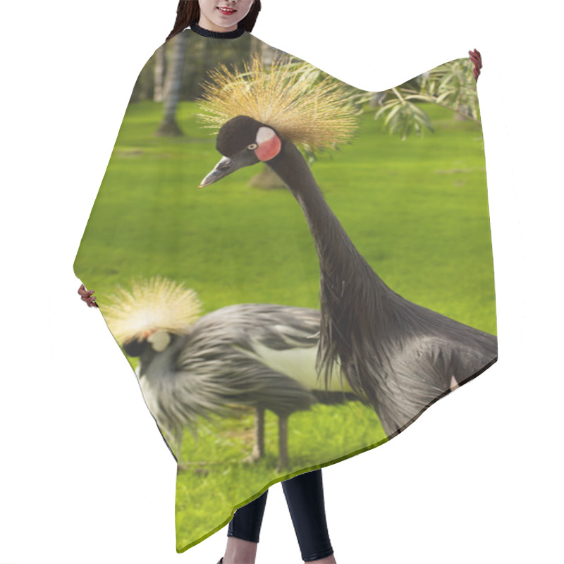 Personality  Cranes On Green Lawn Hair Cutting Cape