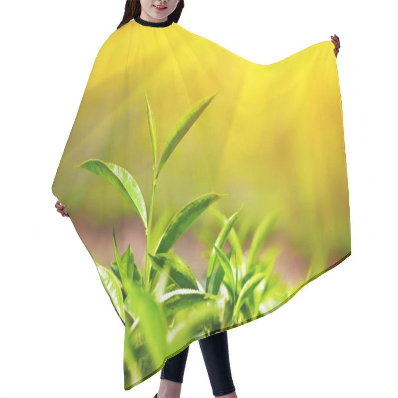 Personality  Tea Leaves Hair Cutting Cape