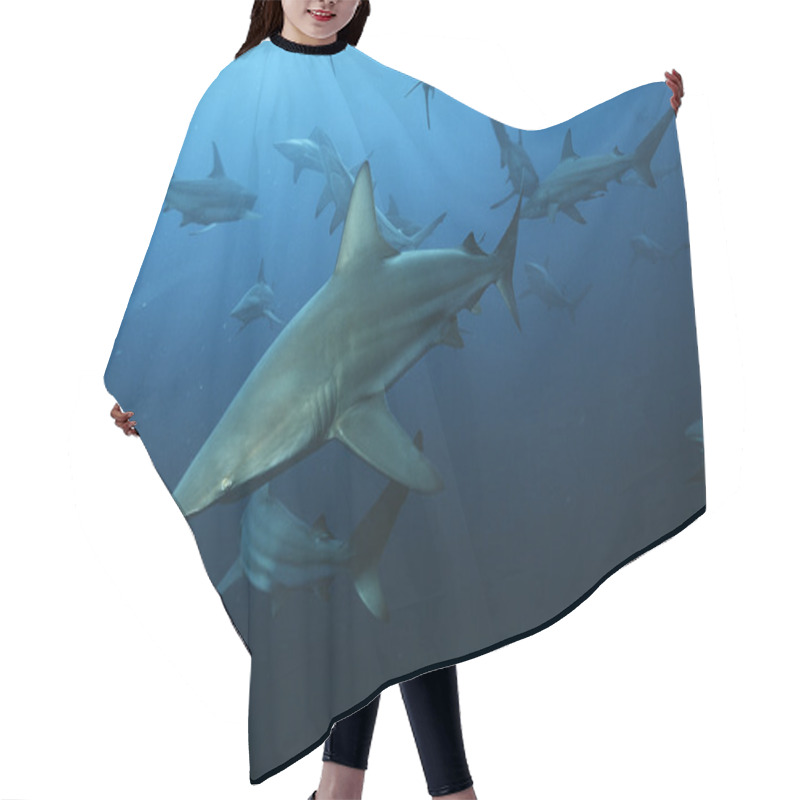 Personality  Blacktip Sharks Hair Cutting Cape