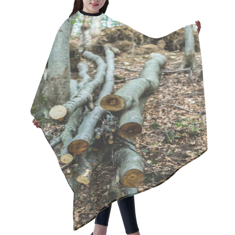 Personality  Capture The Remnants Of Cut Beech Tree Stumps On A Mountain Slope In The Carpathian Mountains, Depicting The Impact Of Logging In The Region Hair Cutting Cape