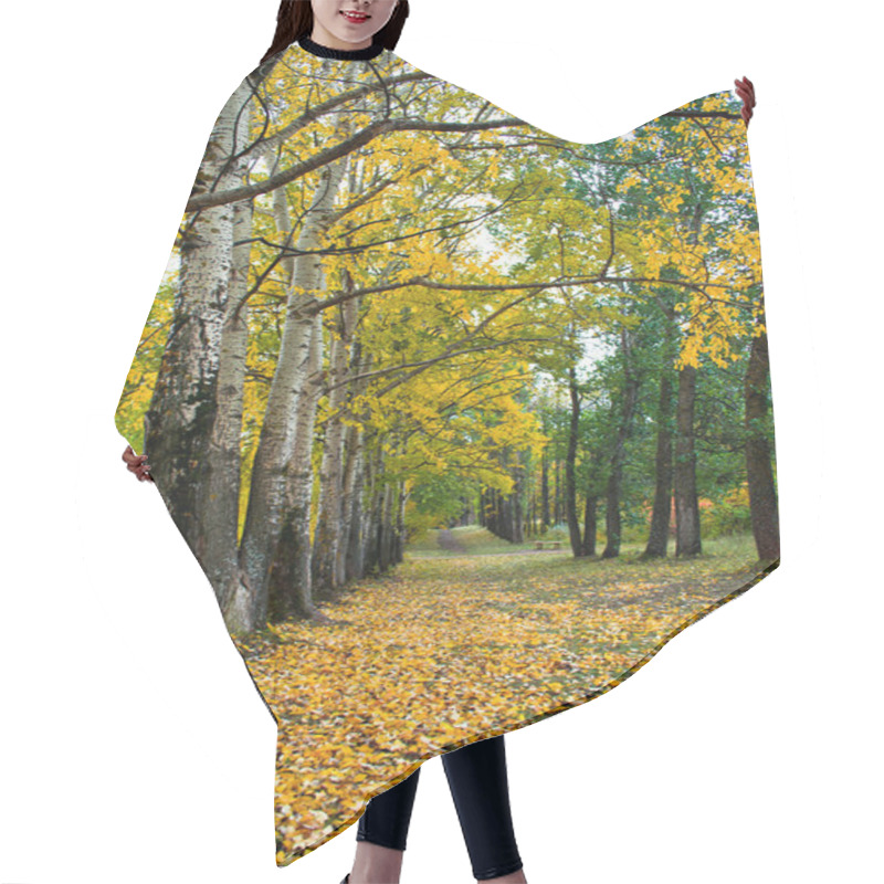 Personality  Autumn Park Hair Cutting Cape