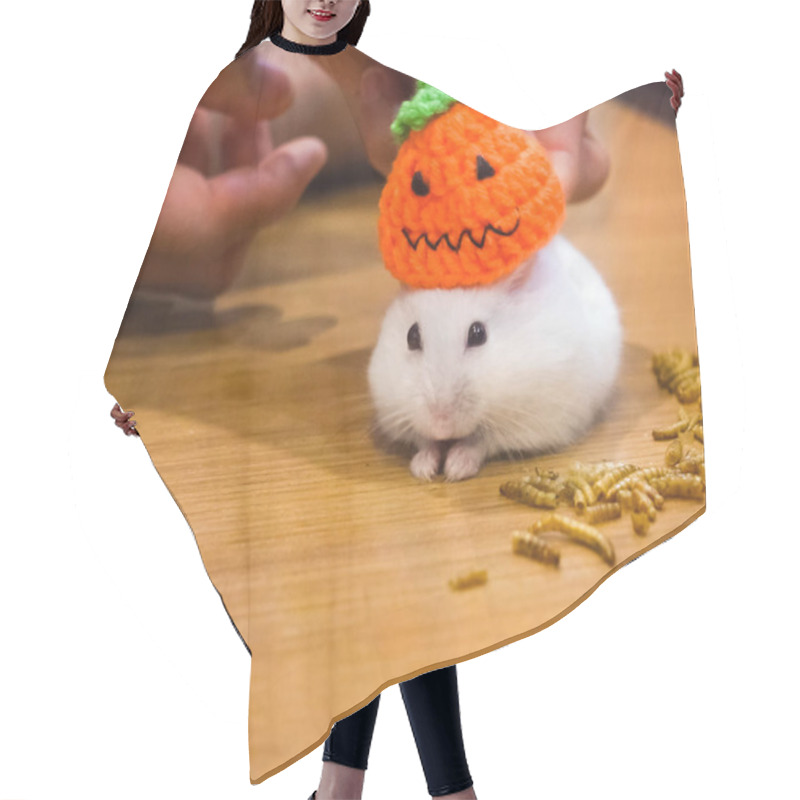 Personality  Cute White Winter White Hamster House Pet Wearing Halloween Knit Jack O Lantern Pumpkin Party Hat Eating Pet Snack Food In Halloween Festival Holiday. Pet Dressing Trick Or Treat Costume Decoration Hair Cutting Cape