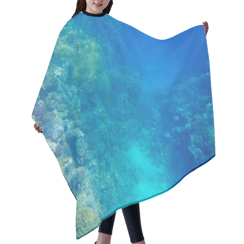 Personality  Beautiful Coral Reef Hair Cutting Cape