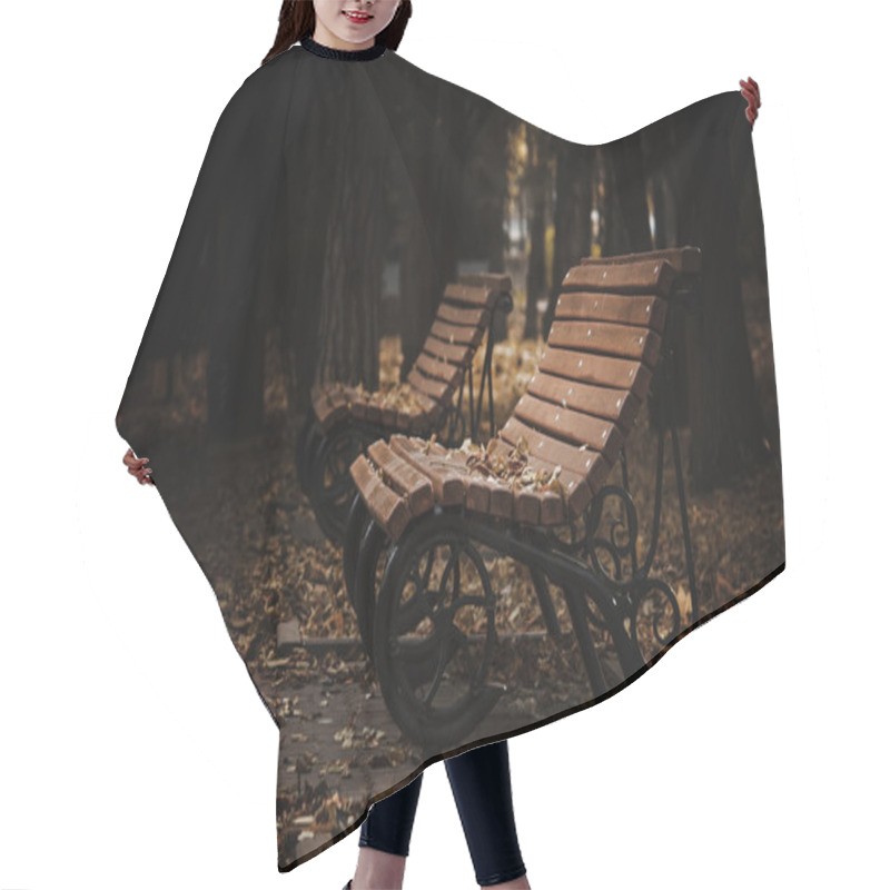 Personality  Empty Wooden Bench In A Dark Evening Autumn Park  Hair Cutting Cape