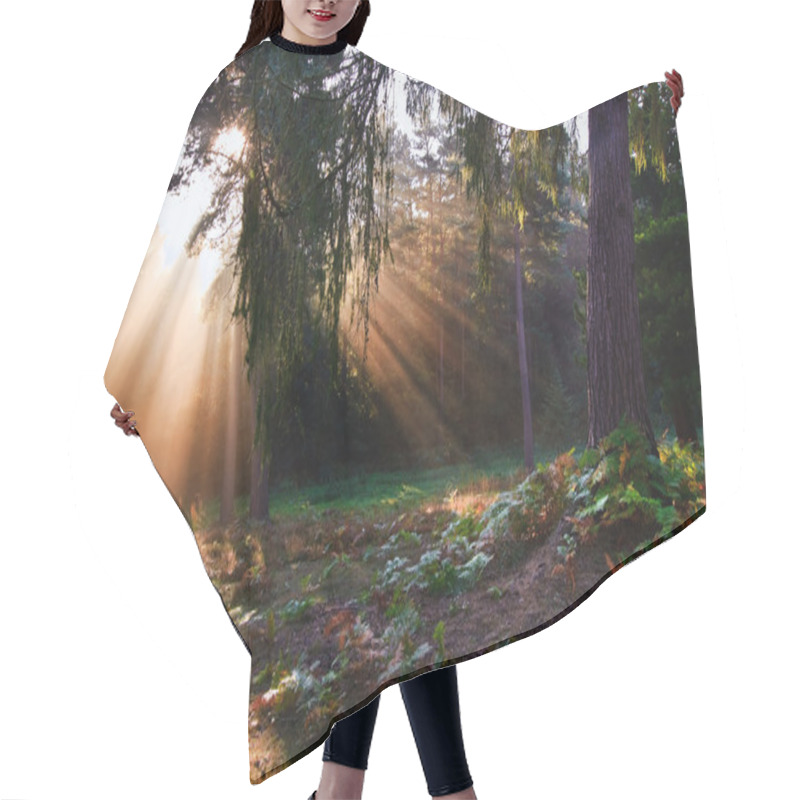 Personality  Inspirational Dawn Sun Burst Through Trees In Forest Autumn Fall Hair Cutting Cape