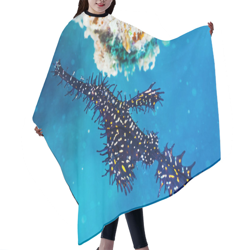 Personality  Ghost Pipefish Hair Cutting Cape