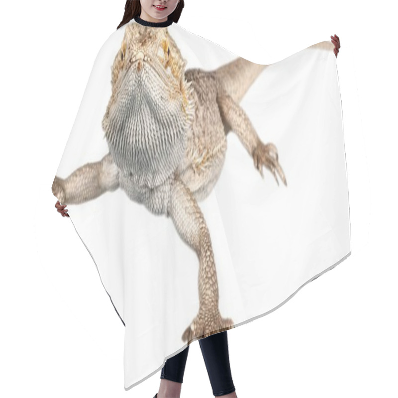 Personality  Big Iguana Reptile Hair Cutting Cape