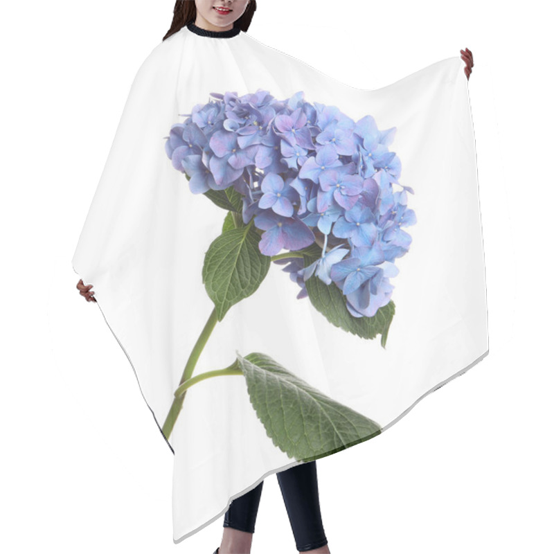 Personality  Branch Of Hortensia Plant With Delicate Flowers On White Background Hair Cutting Cape