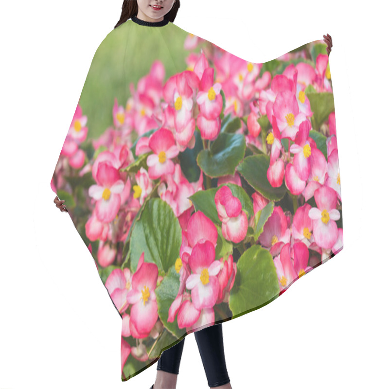 Personality  Pink Begonias In Bloom Hair Cutting Cape