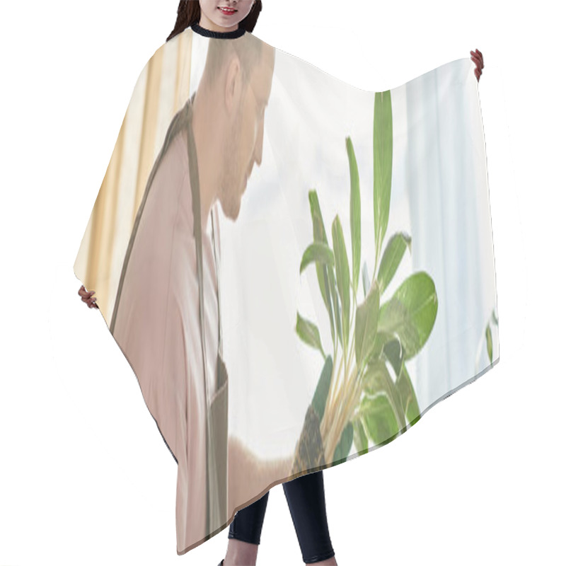 Personality  A Man Tenderly Holds A Potted Plant In Front Of A Window, Bathed In Soft Natural Light. Hair Cutting Cape