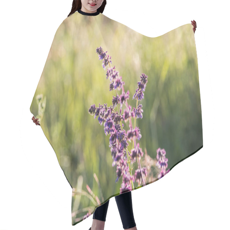 Personality  Wild Basil Plant Blooming In Spring Hair Cutting Cape