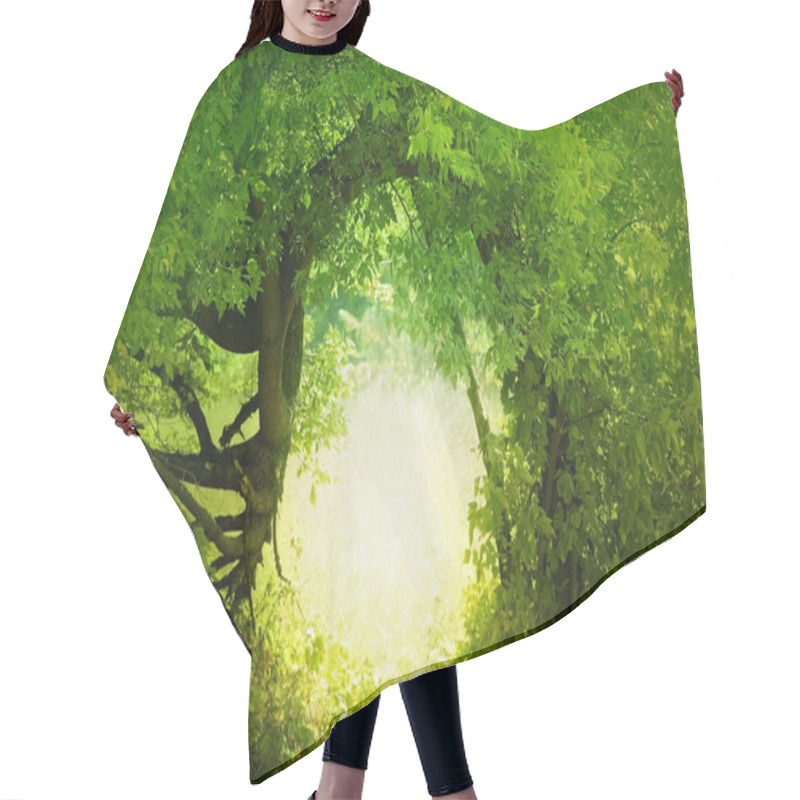 Personality  Door To The Fairy Land Hair Cutting Cape