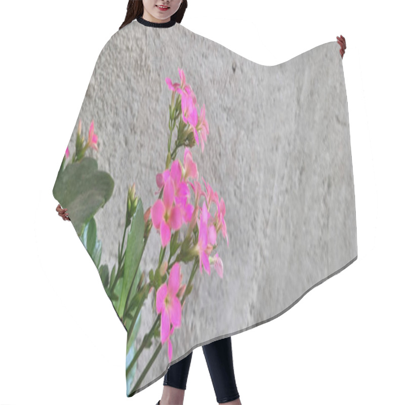 Personality  Pink Flowers With Rustic Wall Background Hair Cutting Cape