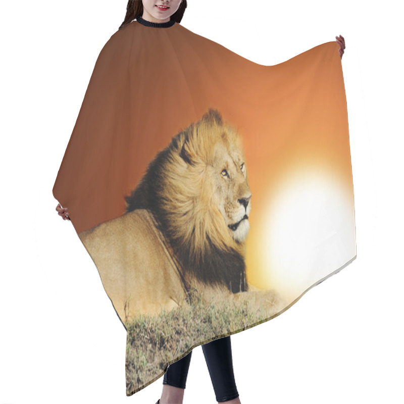 Personality  Lion Hair Cutting Cape