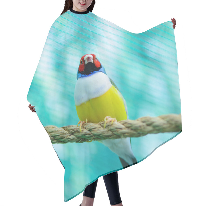 Personality  Beautiful Little Bird Hair Cutting Cape