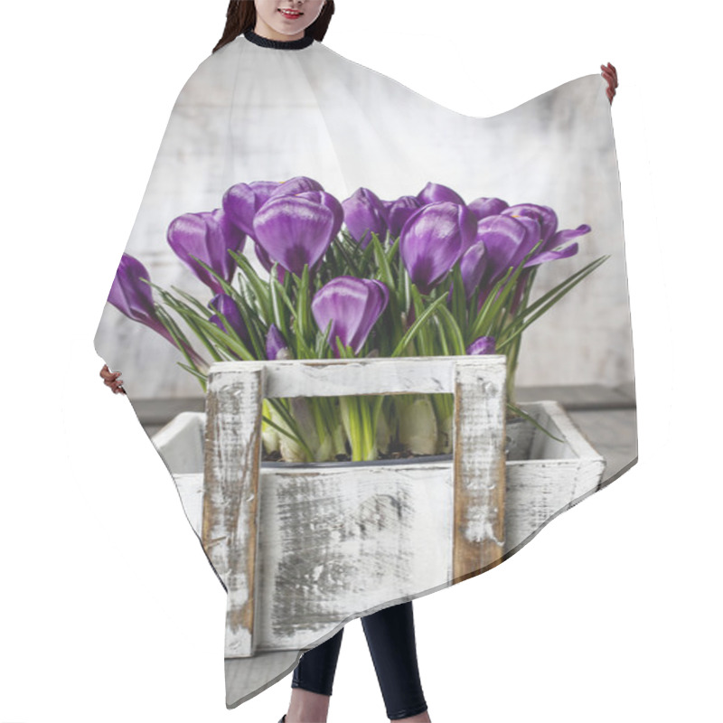 Personality  Beautiful Violet Crocuses In White Wooden Box Hair Cutting Cape