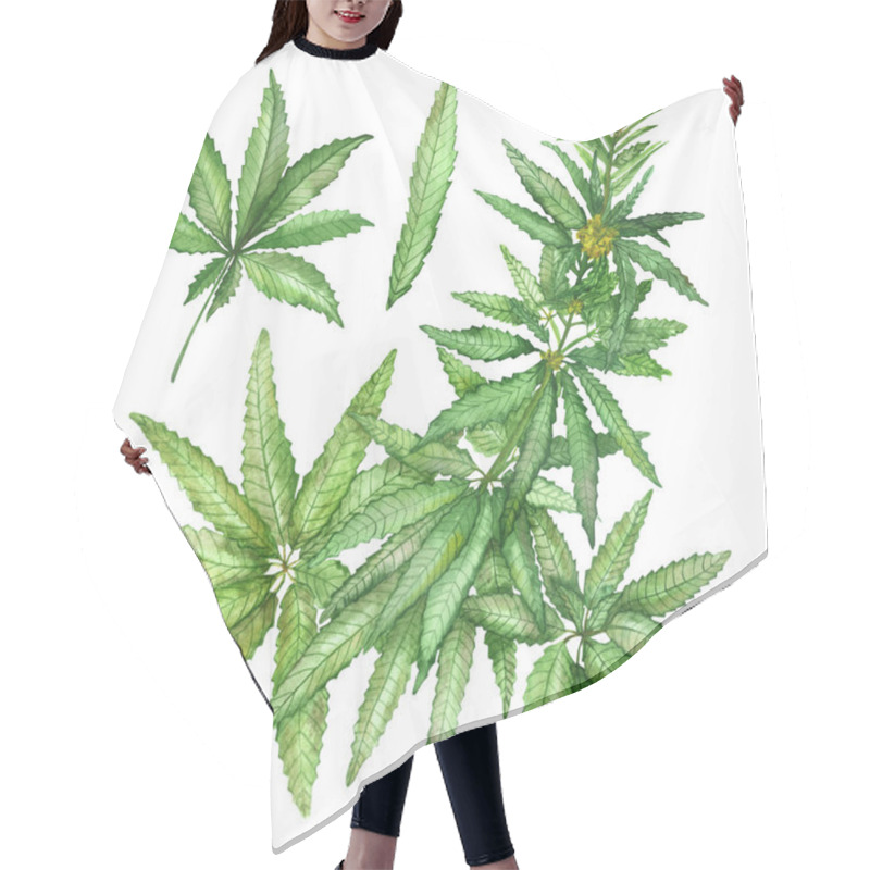 Personality  Watercolor Hand Painted Nature Collection With Green Hemp Marijuana Weed Herbs Plants Leaves, Branches And Flowers Set Isolated On The White Background For Different Design Elements Hair Cutting Cape