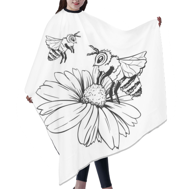 Personality  Chamomile Bud And Bee Pollination. Hand Drawn Ink Pen Illustration, Freehand Isolated Sketch Hair Cutting Cape