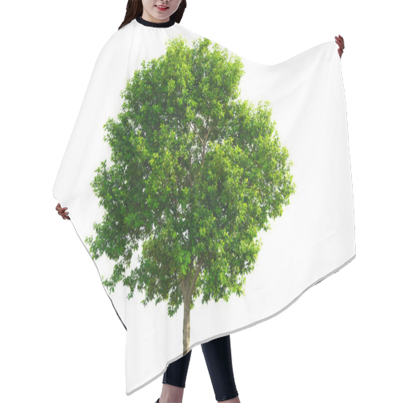 Personality  Green Tree Isolated With White Background Hair Cutting Cape