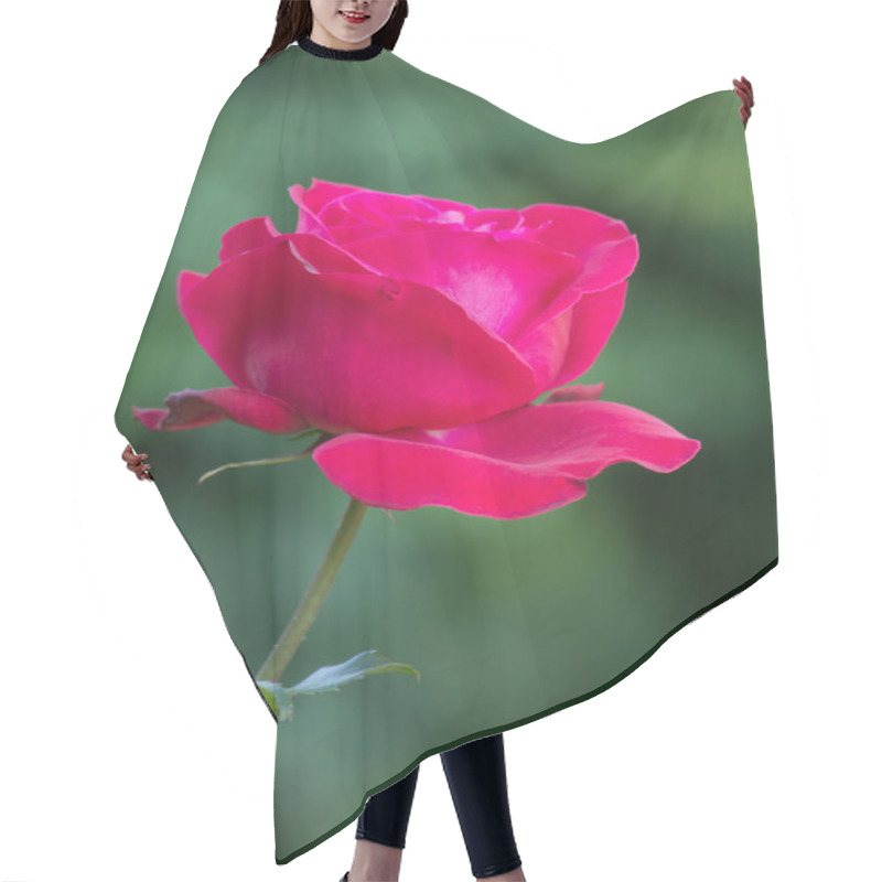 Personality  Red Rose Flower In A Garden Hair Cutting Cape