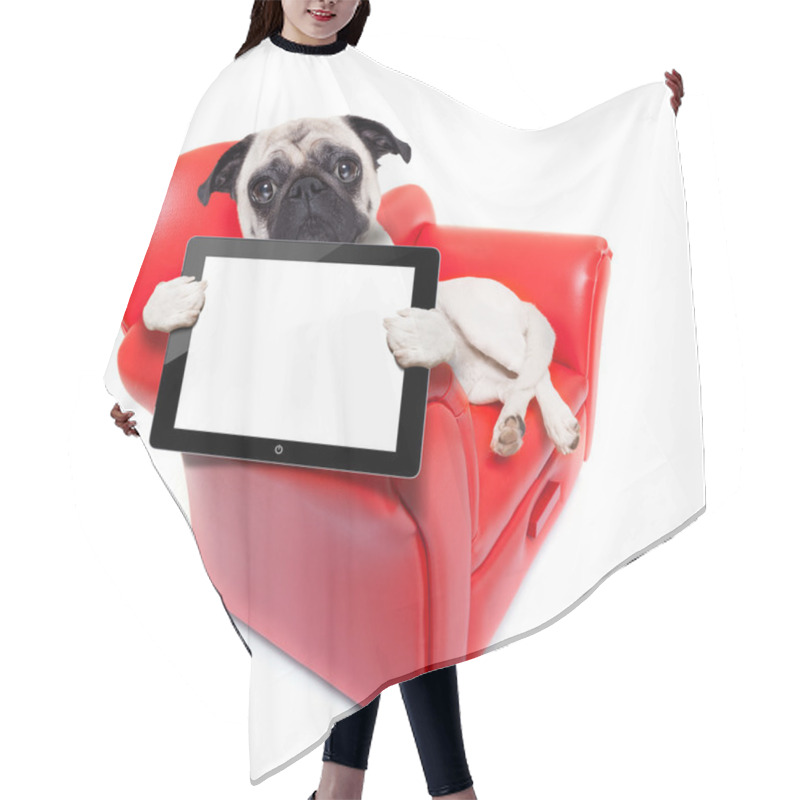 Personality  Dog Sofa Computer Hair Cutting Cape