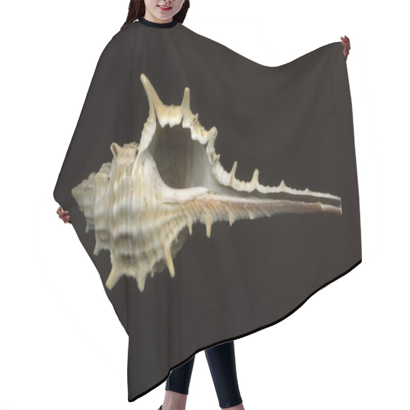 Personality  Seashell Hair Cutting Cape