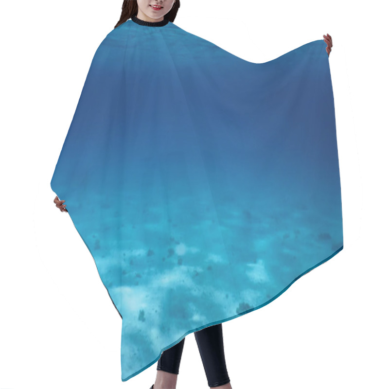 Personality  Sandy Sea Bottom Marine Life, Underwater Background Hair Cutting Cape