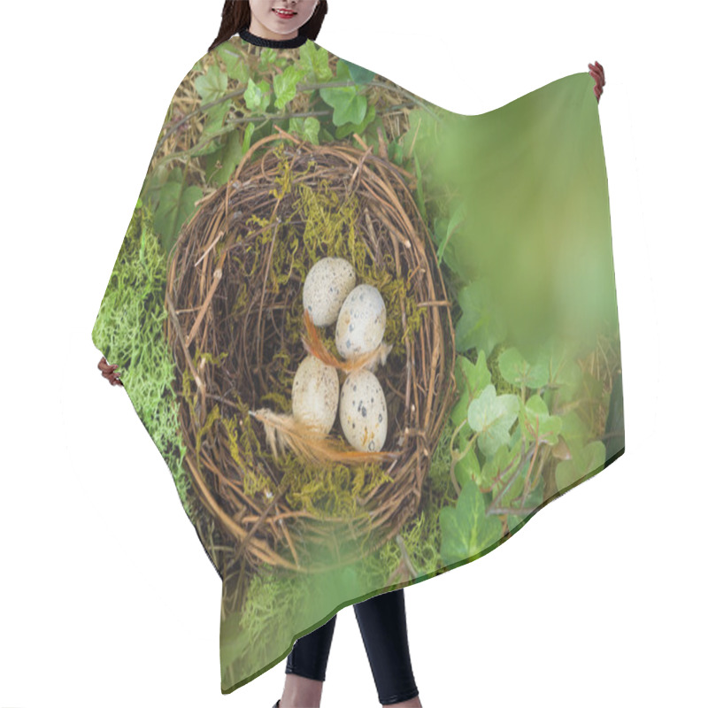 Personality  Hidden Nest With Eggs Hair Cutting Cape