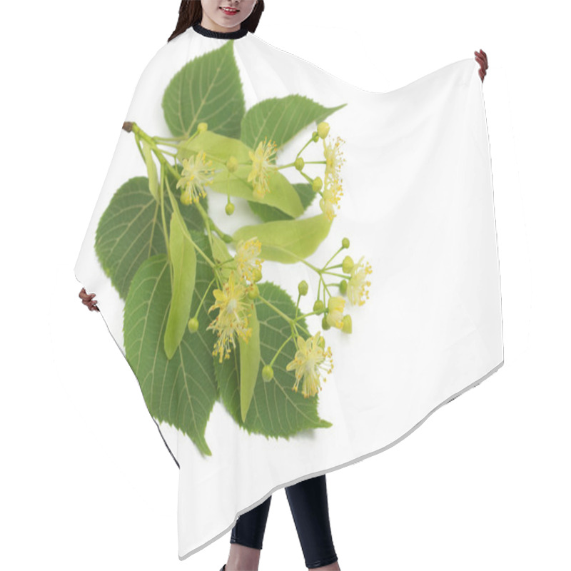 Personality  Linden Flowers And Leaves Isolated Against White Background Hair Cutting Cape