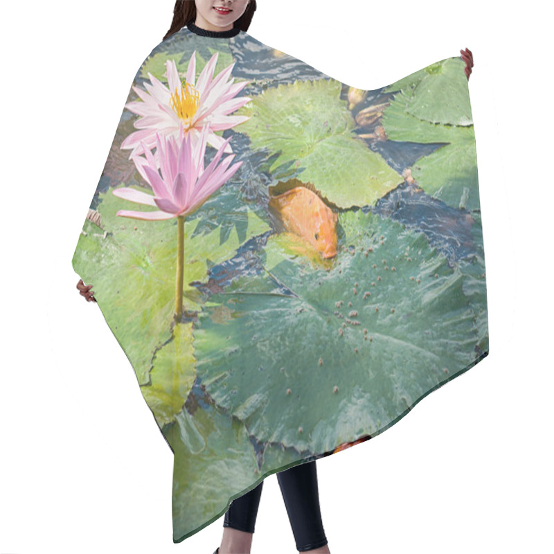 Personality  Goldfishes In The Lotus Pond  Hair Cutting Cape