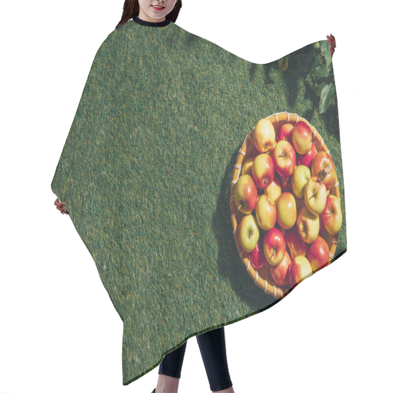 Personality  Fresh Apples In Wicker Basket With Apple Tree Leaves On Grass Background Hair Cutting Cape