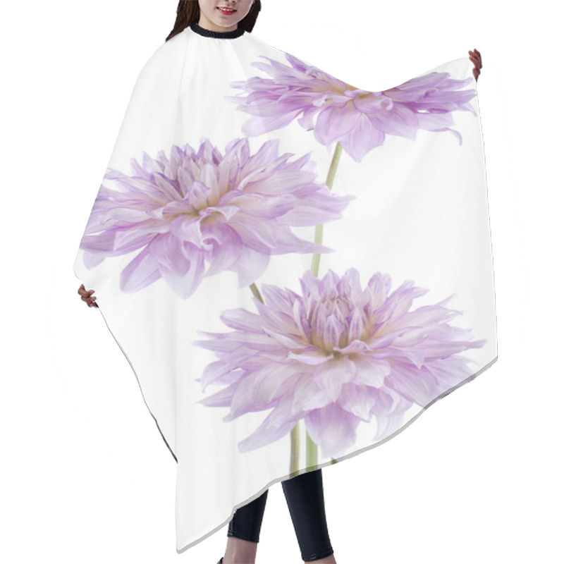 Personality  Dahlia Hair Cutting Cape