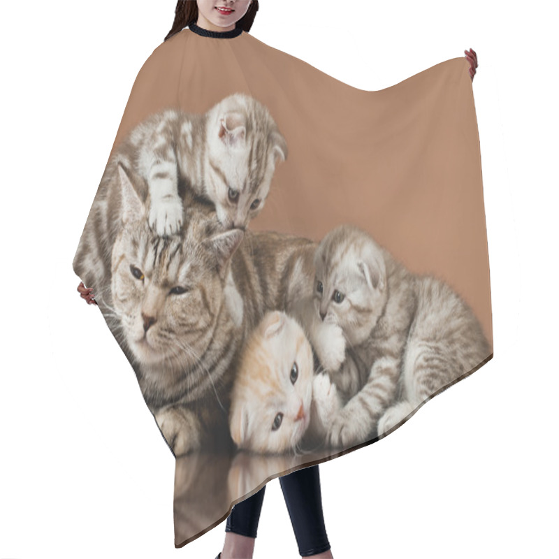 Personality  Kittens Hair Cutting Cape