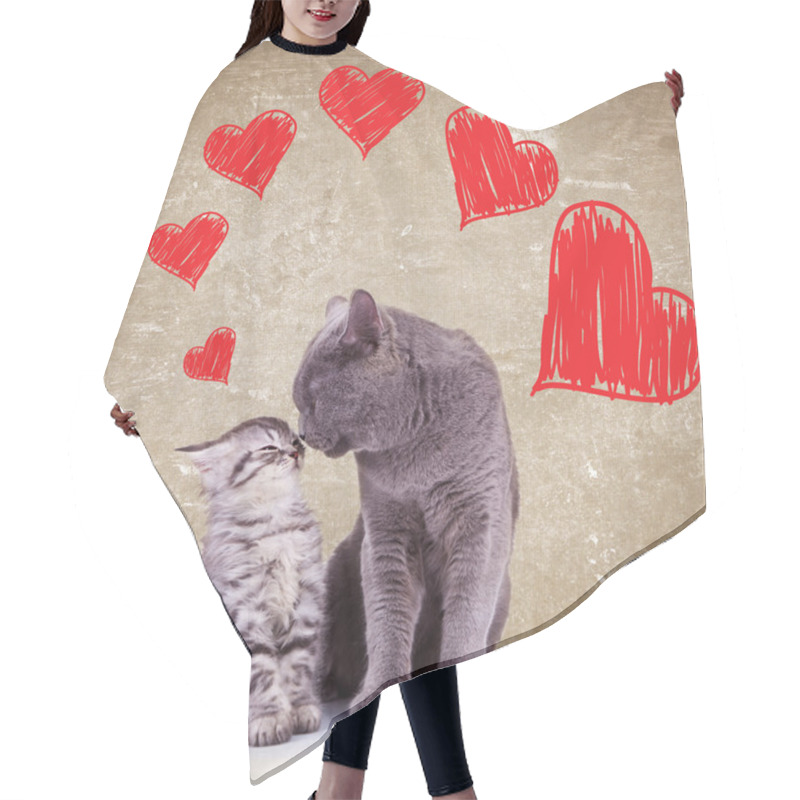 Personality  Cats Kissing On Valentines Day Hair Cutting Cape