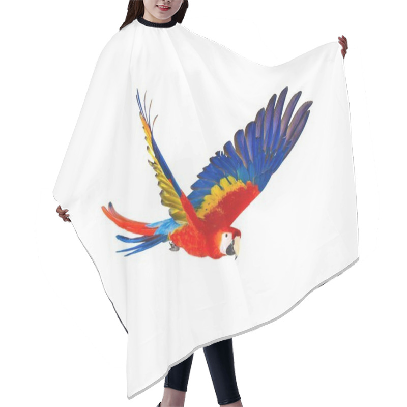 Personality  Colourful Flying Parrot Isolated On White  Hair Cutting Cape