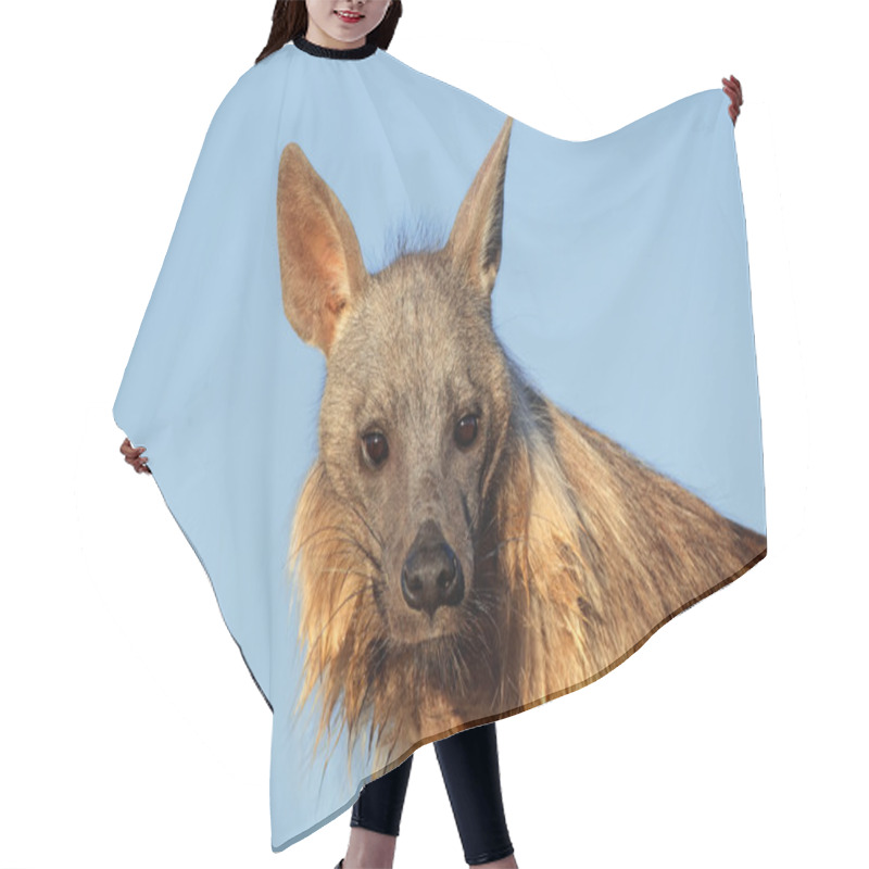 Personality  Brown Hyena Portrait Hair Cutting Cape