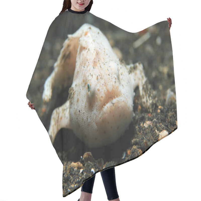 Personality  Painted Frogfish Hair Cutting Cape